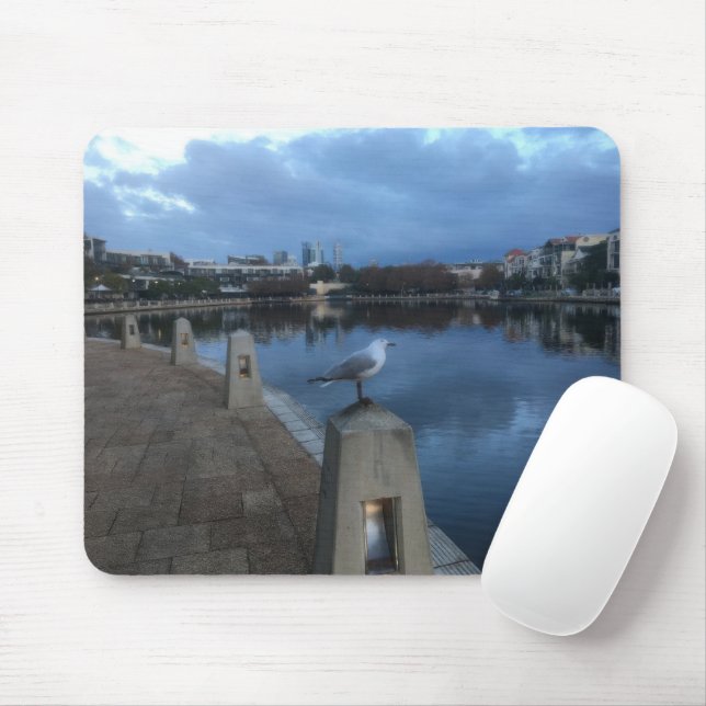 Seagull Photo Mouse Mat (With Mouse)