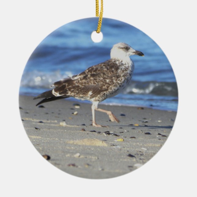 Seagull Photo Ornament (Front)