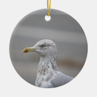 Seagull Photo Ornament