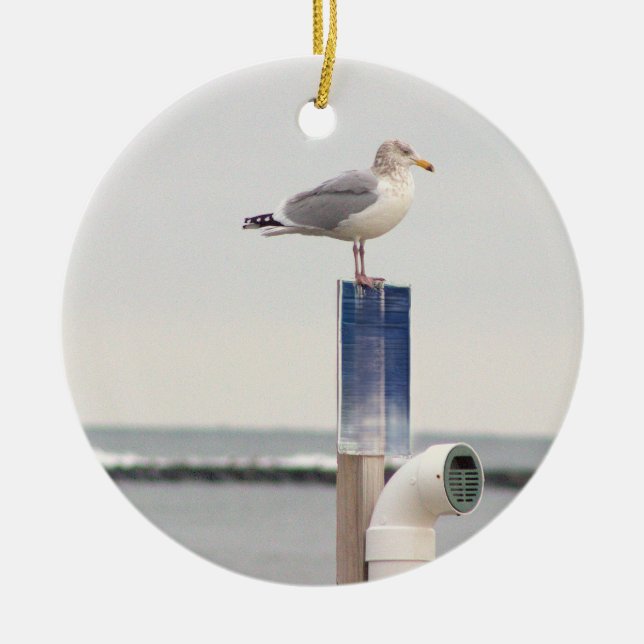 Seagull Photo Ornament  (Front)