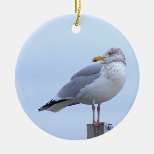 Seagull Photo Ornament  (Front)
