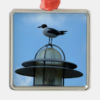 Seagull Photo Ornament