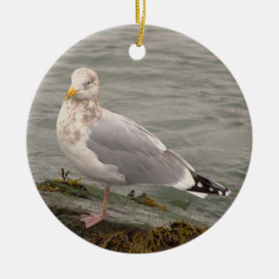 Seagull Photo Ornament 