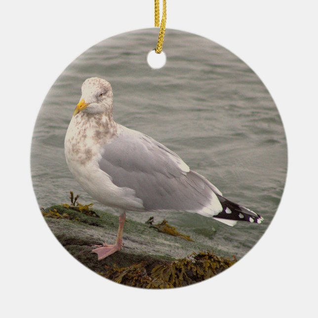 Seagull Photo Ornament  (Front)