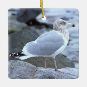 Seagull Photo Ornament 