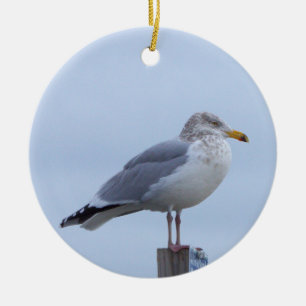Seagull Photo Ornament 