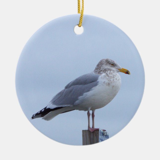 Seagull Photo Ornament  (Front)