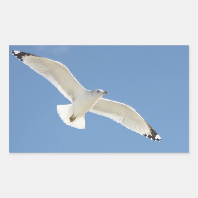 Seagull photo rectangular sticker (Front)