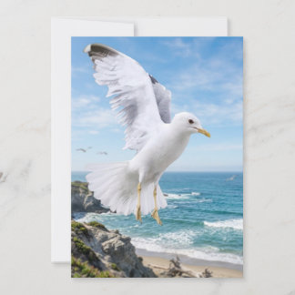 Seagull Photography Card, Coastal Nature Gift, Ins Thank You Card