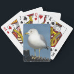 Seagull Playing Cards<br><div class="desc">A deck of appropriate playing cards makes a great hostess gift. The hostess may even break out the cards to play while you are there! Know any beach lovers?</div>
