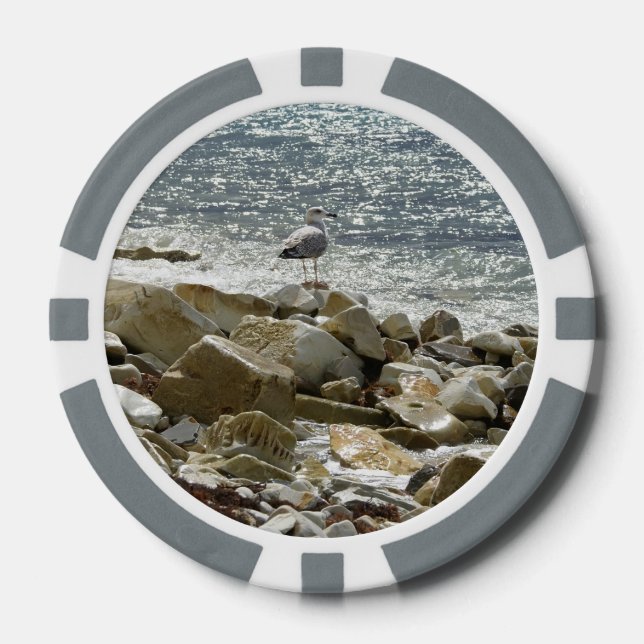 Seagull Poker Chips (Front)