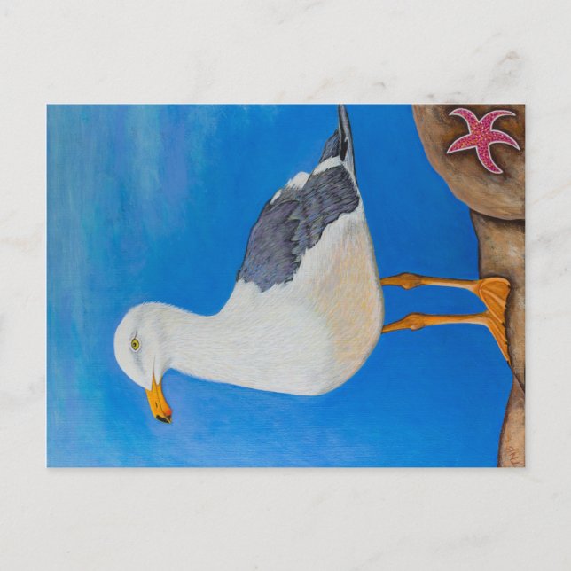 Seagull Postcard (Front)