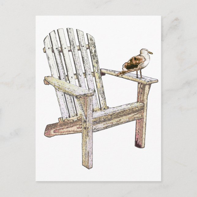 Seagull Postcard (Front)