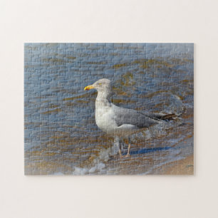 Seagull Puzzle
