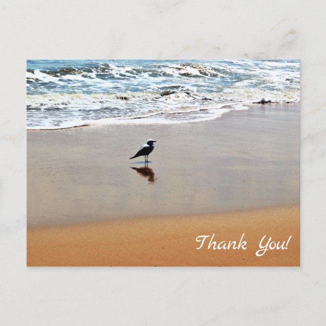 Seagull Reflection, Sand and Ocean Beach Thank You Postcard (Front)
