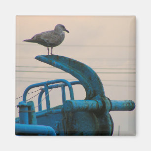 Seagull Rests On Anchor Of Ship   Choshi Magnet