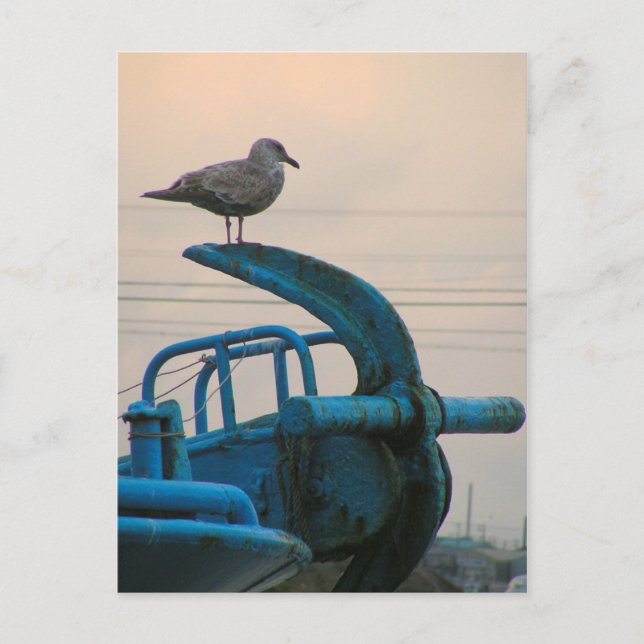 Seagull Rests On Anchor Of Ship | Choshi Postcard (Front)