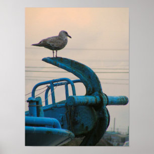 Seagull Rests On Anchor Of Ship Choshi Poster
