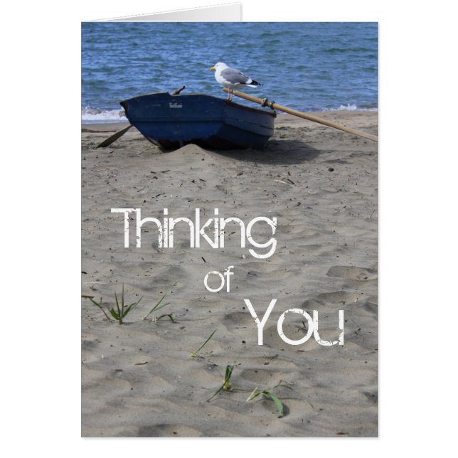 Seagull Sailor (Front)