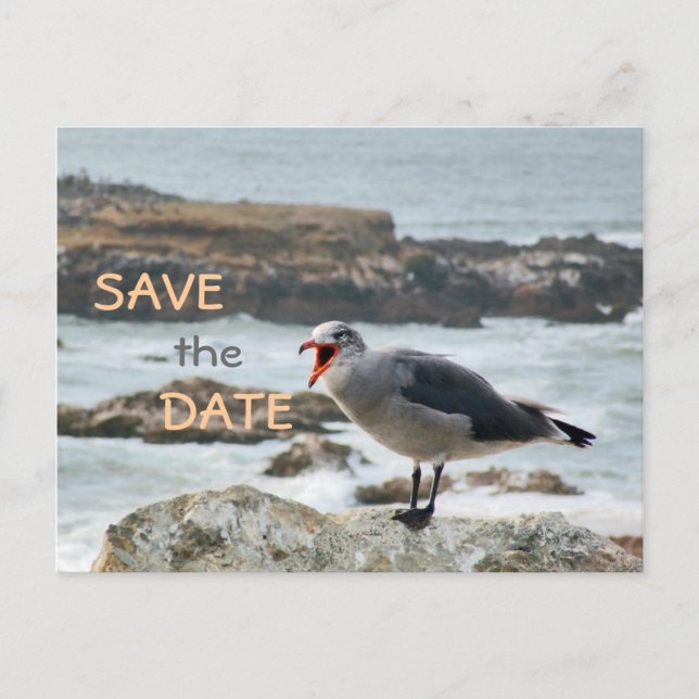 Seagull Save the Date Announcement Postcard (Front)