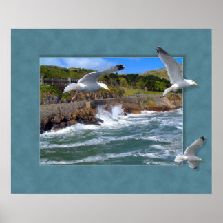 Seagull Scape Poster