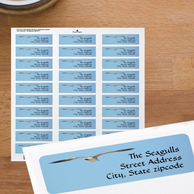 Seagull Silhouette Flying Sky Blue (Creator Uploaded)