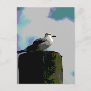 Seagull sitting on a dock posterised photograph postcard