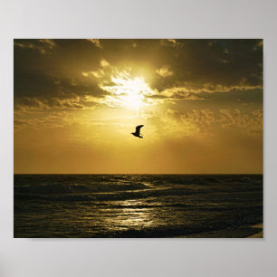 Seagull Soaring Into the Sunset Bird Photography Poster