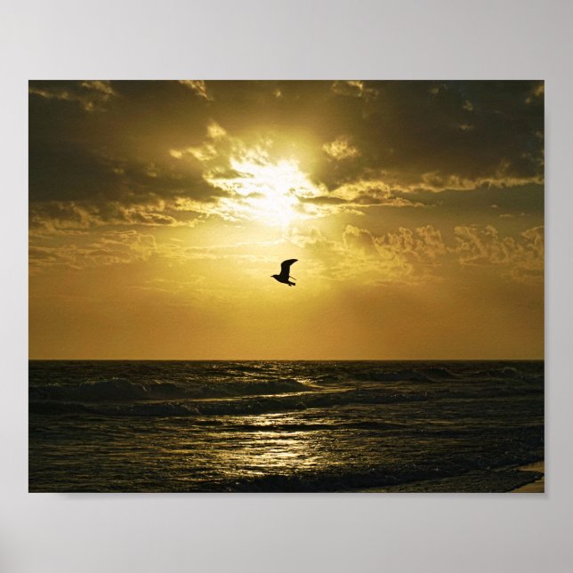 Seagull Soaring Into the Sunset Bird Photography Poster (Front)