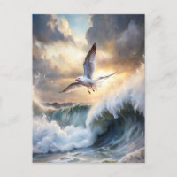 Seagull Soaring Waves Storm Clouds Ocean Coastal