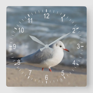 Seagull Square Wall Clock