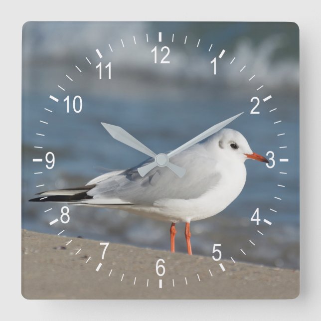 Seagull Square Wall Clock (Front)