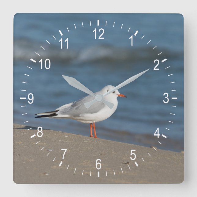Seagull Square Wall Clock (Front)