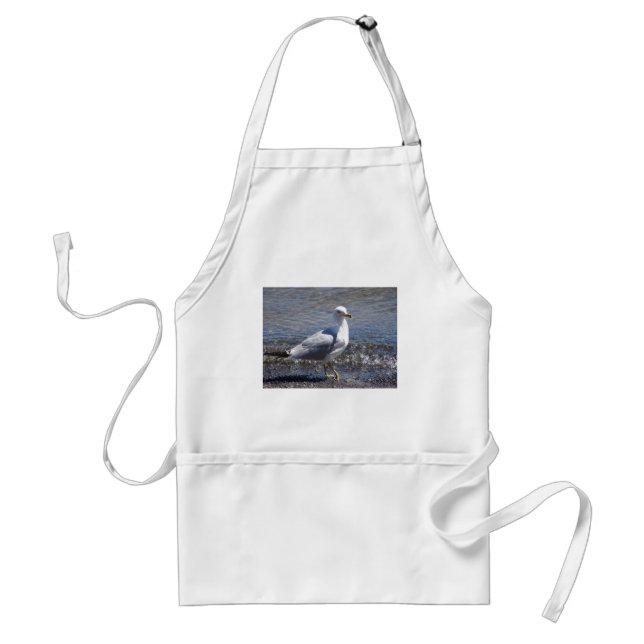Seagull Standard Apron (Front)