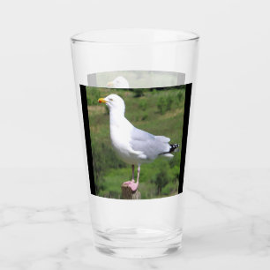 Seagull Standing  Glass
