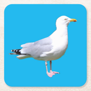 Seagull Standing Minimal Sky Blue Background Coast Square Paper Coaster