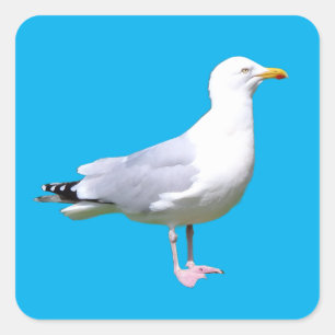 Seagull Standing  Square Sticker