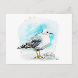 Seagull Study 1 Postcard