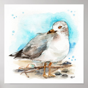 Seagull Study 2 Poster