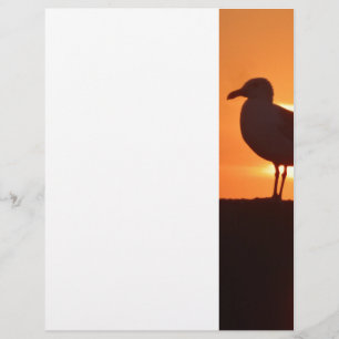 Seagull Sunset