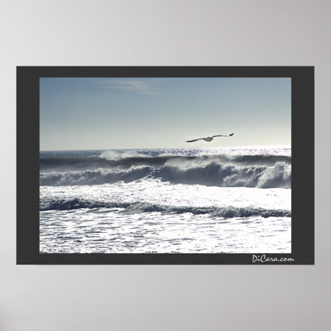 Seagull Surf Poster (Front)