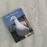 Seagull Surprise Funny Nature Birthday Card<br><div class="desc">Looking for a down right,  funny birthday card for someone? How about a seagull surprise? Select from matte or glossy style card.</div>