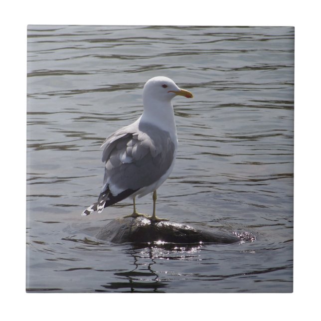 Seagull Tile (Front)