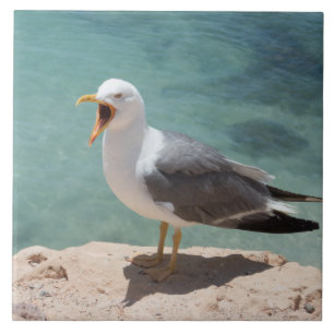 Seagull Tile