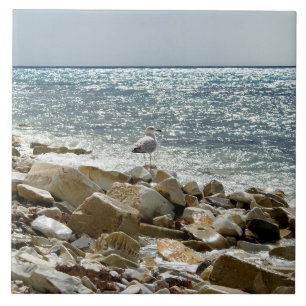 Seagull Tile
