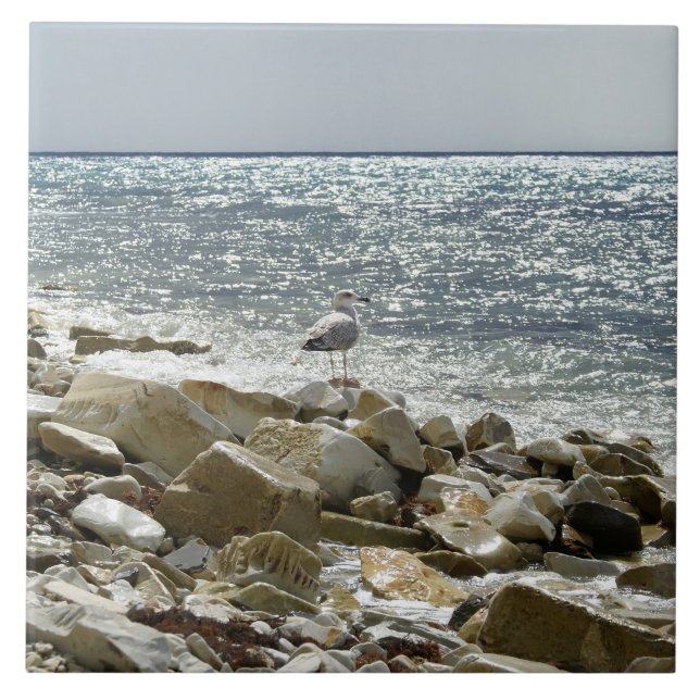 Seagull Tile (Front)