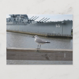 Seagull USS Mobile Battleship Photography Postcard
