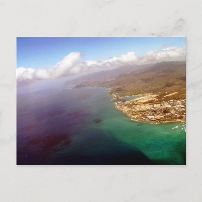 Seagull View of Honolulu in Oahu Postcard (Front)
