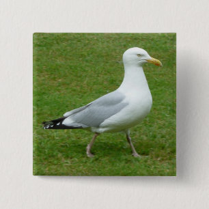 Seagull walking in the Park 15 Cm Square Badge