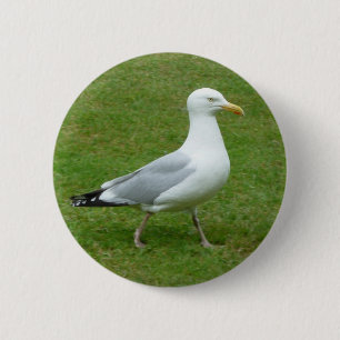 Seagull walking in the Park 6 Cm Round Badge